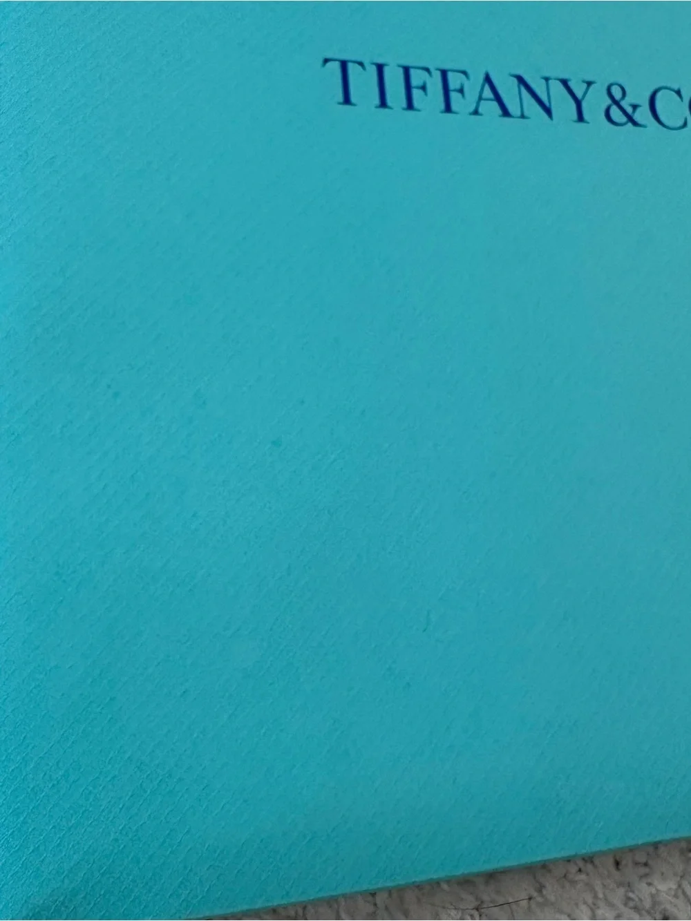 Louis Vuitton and Tiffany & Co. Shopping Gift Bags Set